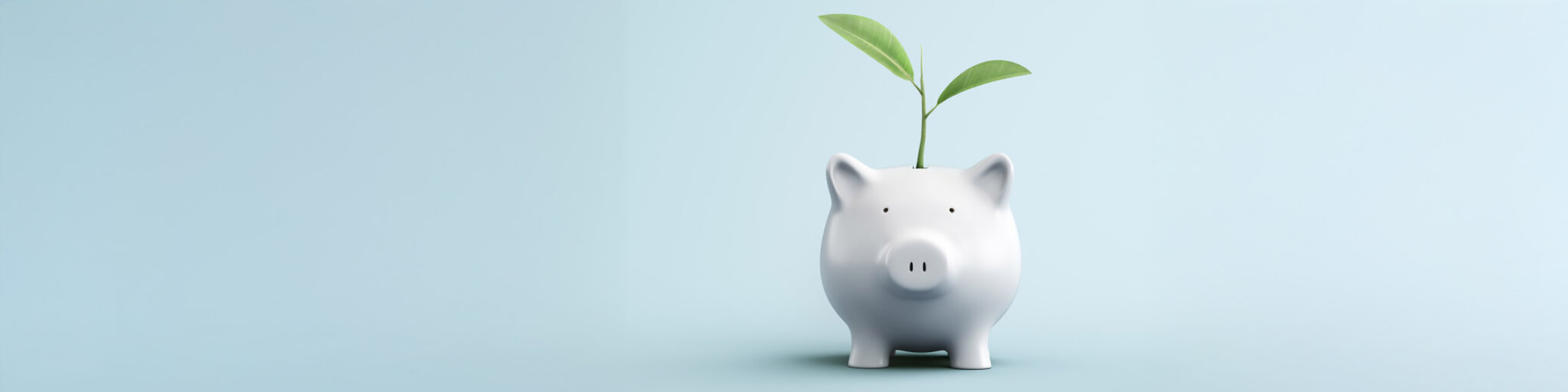 Making the Most of Donor Advised Funds: Tips for Nonprofits
