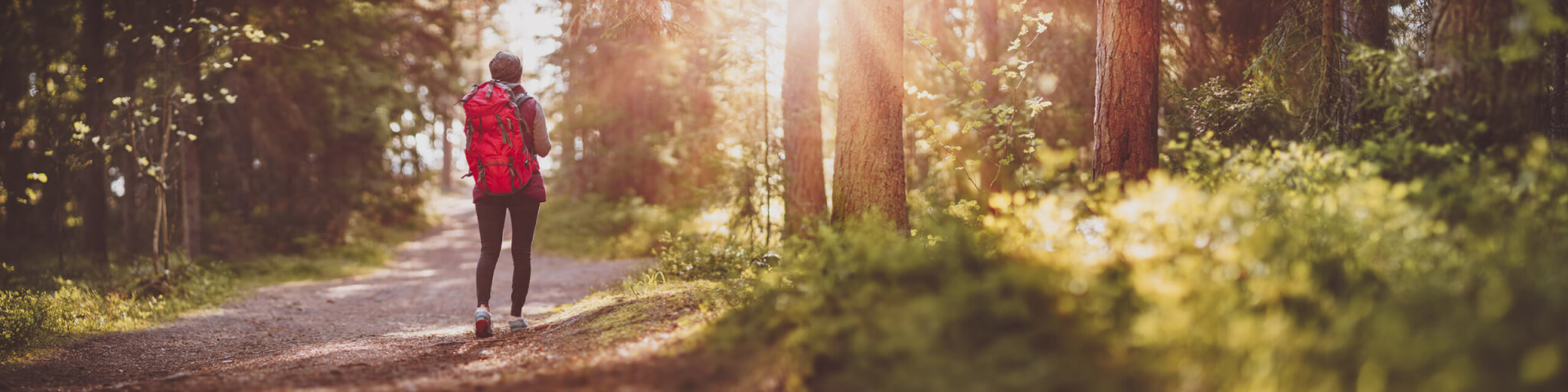 How to Turn Long-Term Monthly Donors into Legacy and Leadership Givers