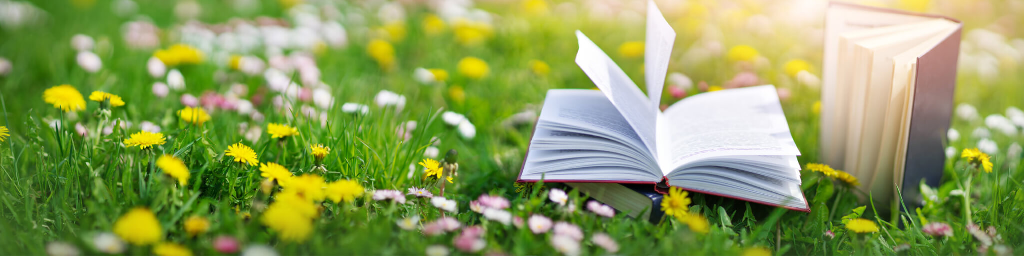 Why Stories Inspire More Donations Than Statistics